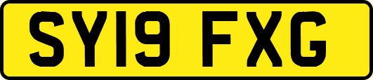 SY19FXG