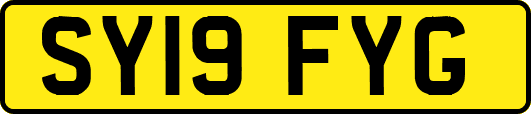 SY19FYG