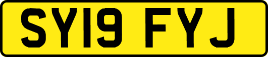 SY19FYJ