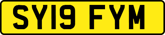 SY19FYM