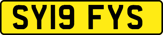 SY19FYS