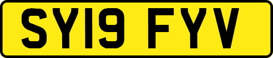 SY19FYV