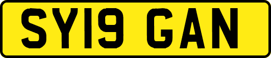 SY19GAN