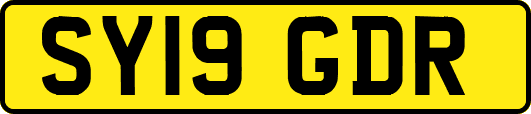 SY19GDR