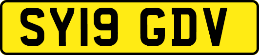 SY19GDV