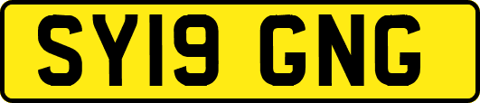 SY19GNG