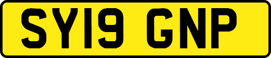 SY19GNP