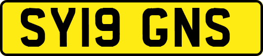 SY19GNS