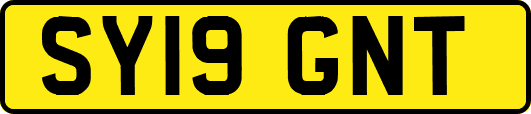 SY19GNT