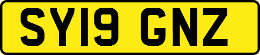 SY19GNZ