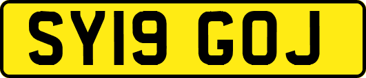 SY19GOJ