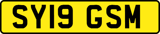 SY19GSM