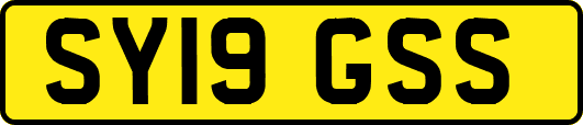 SY19GSS