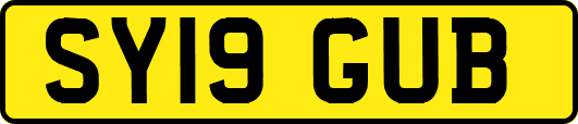 SY19GUB