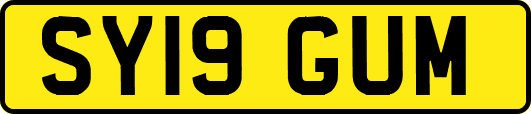 SY19GUM