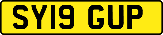 SY19GUP