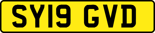 SY19GVD