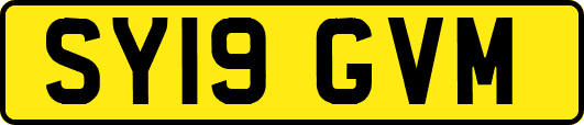 SY19GVM