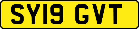 SY19GVT