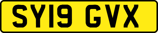 SY19GVX