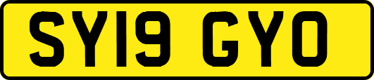 SY19GYO