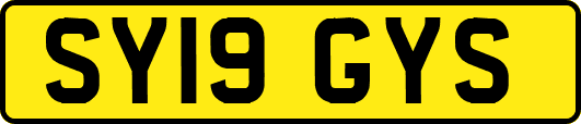 SY19GYS