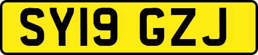 SY19GZJ