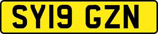 SY19GZN