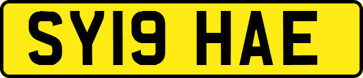 SY19HAE