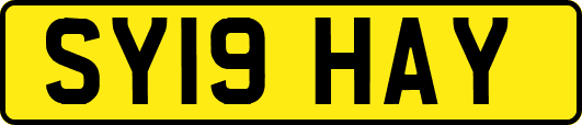 SY19HAY