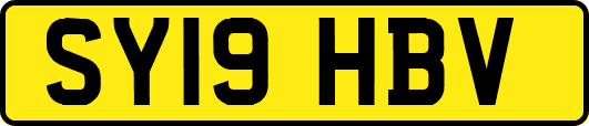 SY19HBV