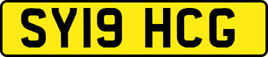 SY19HCG