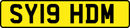 SY19HDM