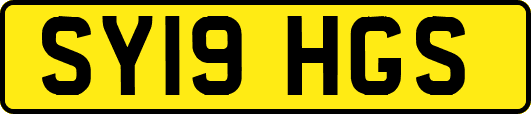SY19HGS