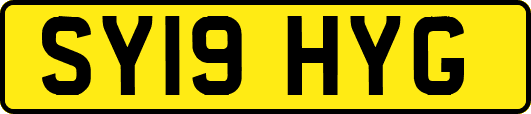 SY19HYG