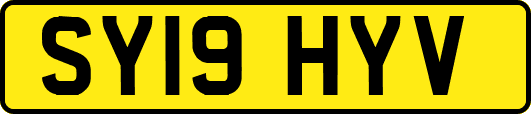 SY19HYV