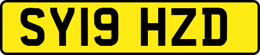SY19HZD