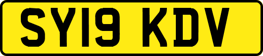 SY19KDV