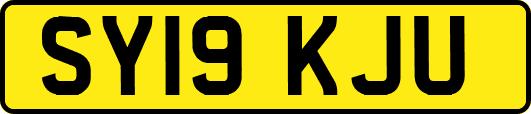 SY19KJU