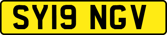 SY19NGV
