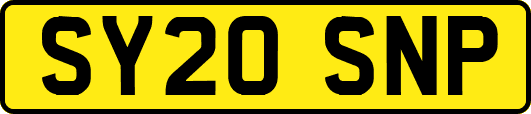SY20SNP