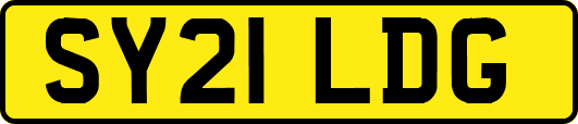 SY21LDG