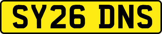SY26DNS