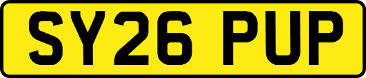 SY26PUP