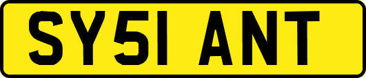 SY51ANT