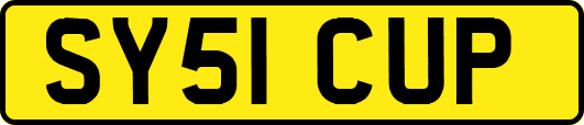 SY51CUP