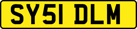 SY51DLM