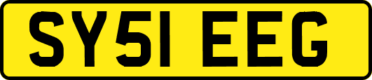 SY51EEG