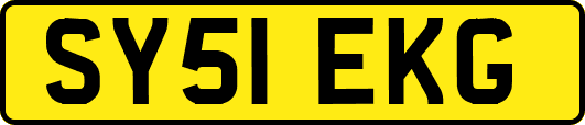 SY51EKG