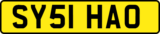 SY51HAO